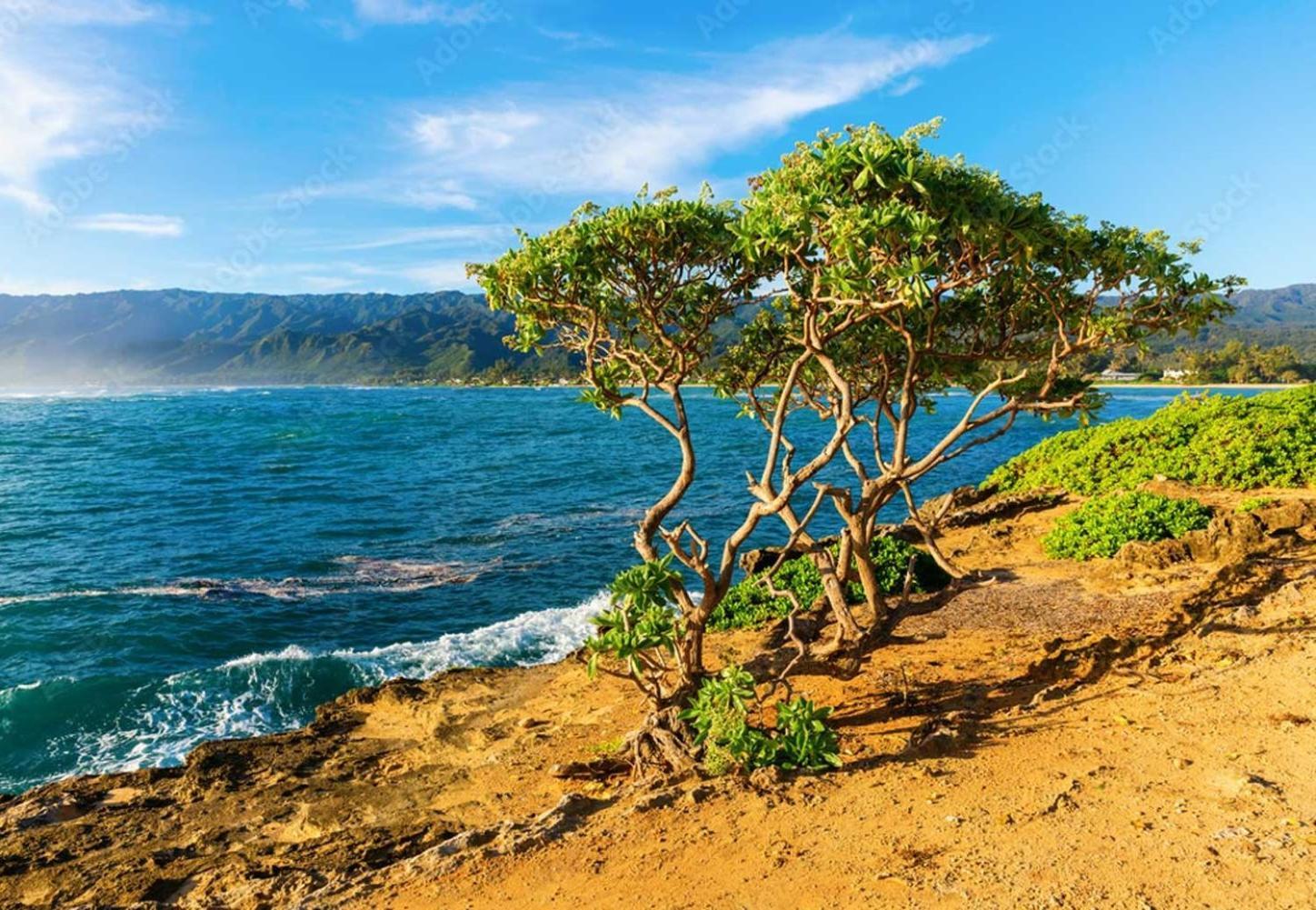 Naupaka Breeze Ocean View Ac 30 Day Stay Specials! Laie Exterior foto